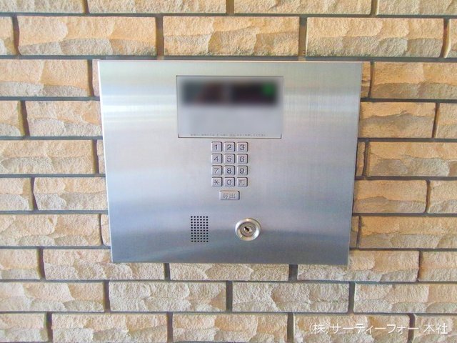 撮影日(2025-04-29 00:00:00)