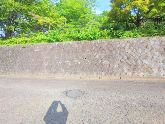 撮影日(2025-06-16 00:00:00)