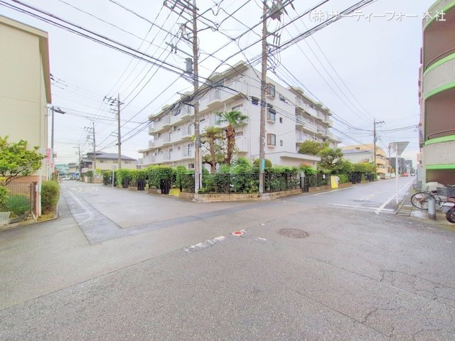 撮影日(2024-11-20 00:00:00)