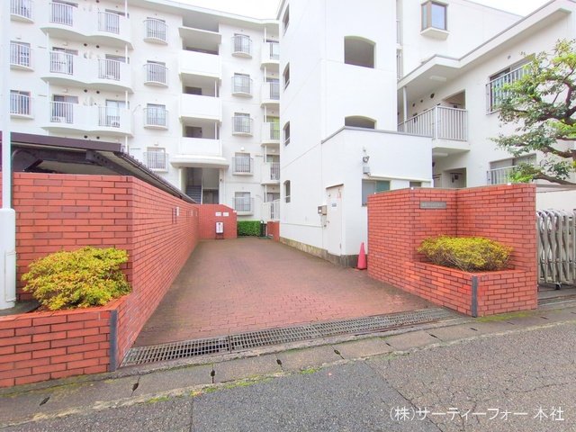撮影日(2024-11-20 00:00:00)