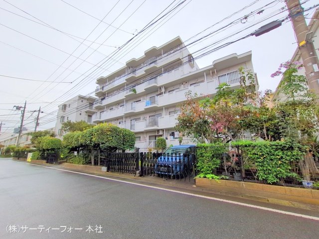 撮影日(2024-11-20 00:00:00)