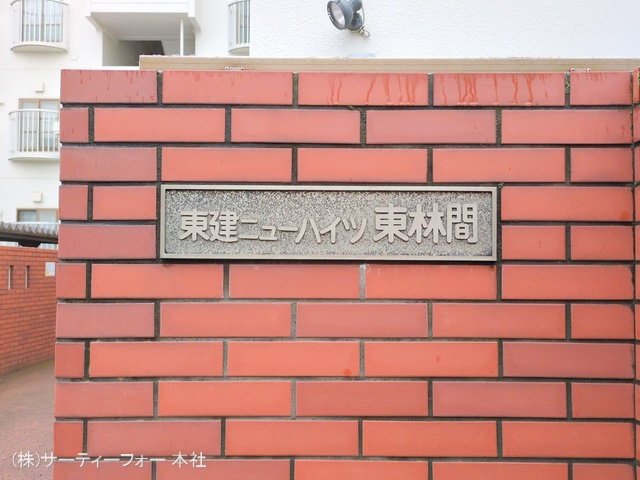 撮影日(2024-11-20 00:00:00)