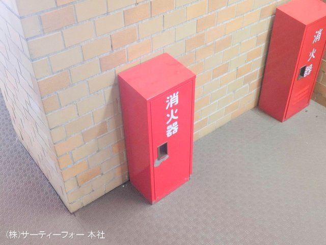 撮影日(2025-04-01 00:00:00)
