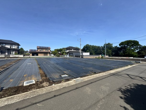現地写真