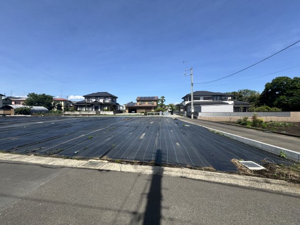 現地写真