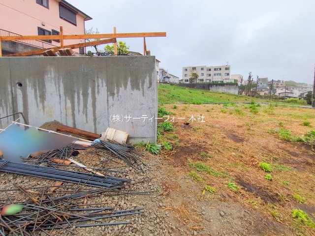 撮影日(2025-04-23 00:00:00)
