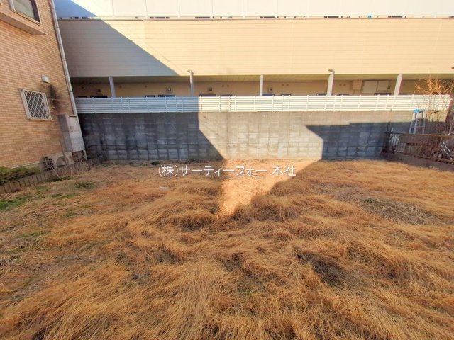 撮影日(2025-01-31 00:00:00)