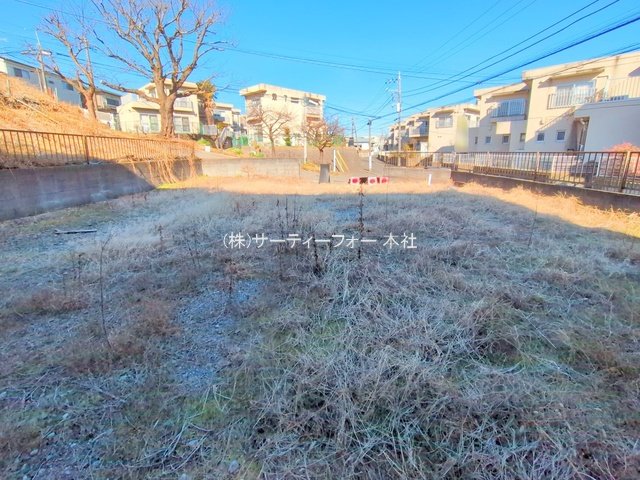 撮影日(2025-01-31 00:00:00)