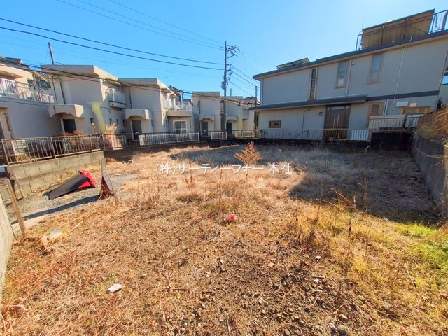 撮影日(2025-01-31 00:00:00)