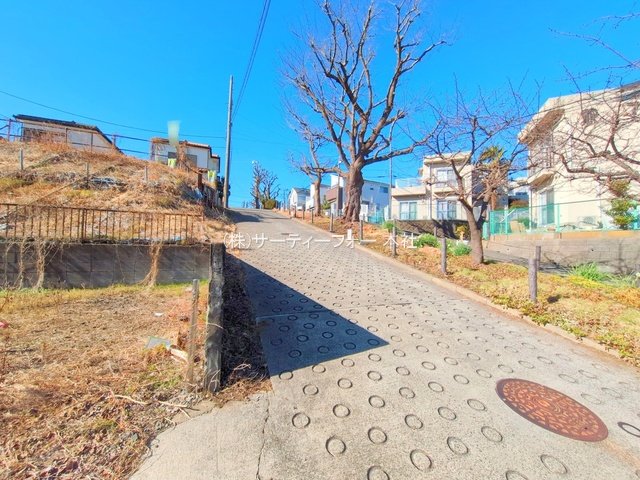 撮影日(2025-01-31 00:00:00)