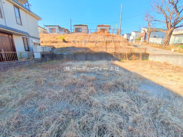 撮影日(2025-01-31 00:00:00)