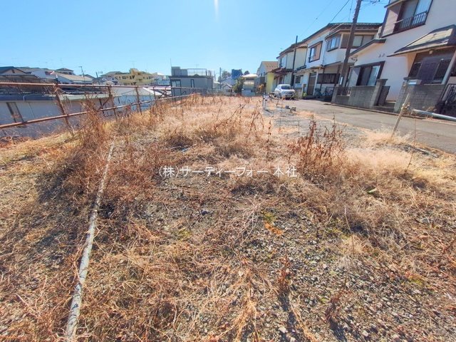 撮影日(2025-01-31 00:00:00)