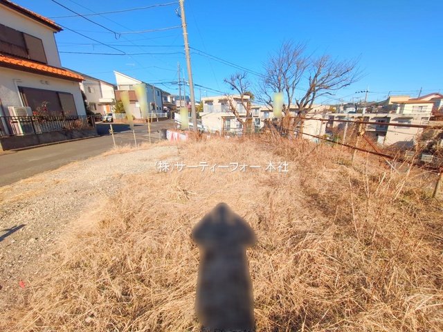 撮影日(2025-01-31 00:00:00)