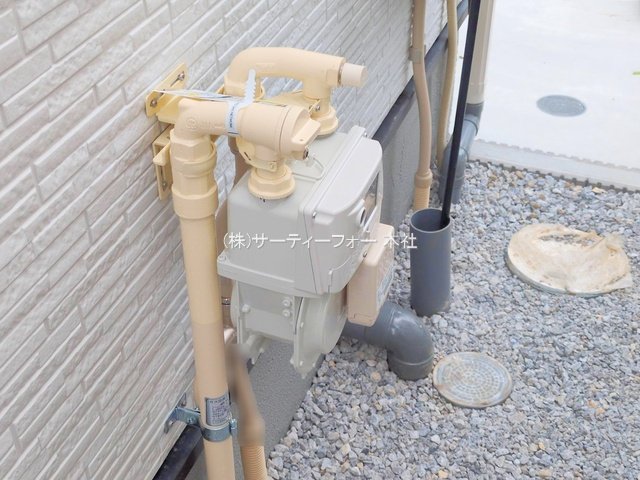 撮影日(2025-05-09 00:00:00)