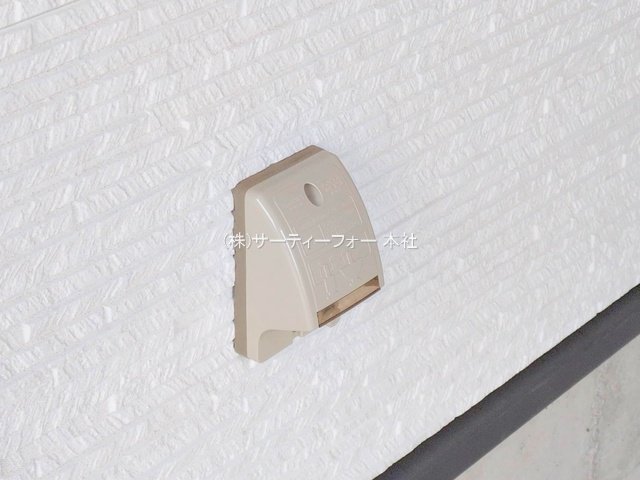 撮影日(2025-03-04 00:00:00)