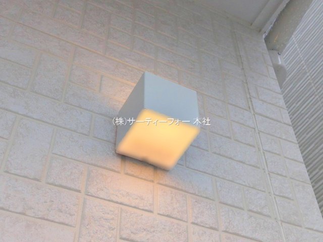 撮影日(2025-03-03 00:00:00)