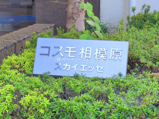 撮影日(2024-11-28 00:00:00)