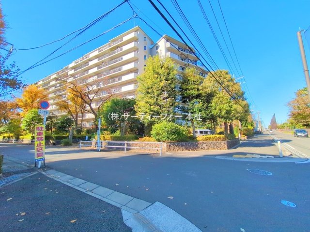撮影日(2024-11-28 00:00:00)