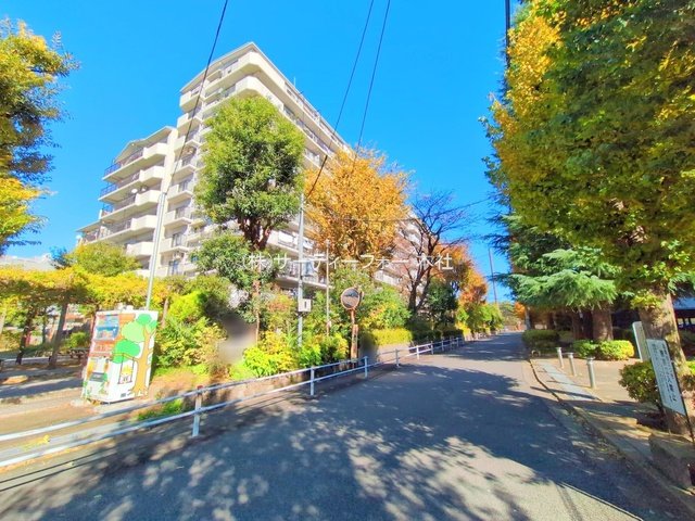撮影日(2024-11-28 00:00:00)