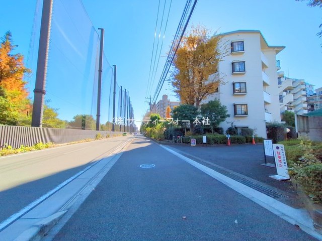 撮影日(2024-11-28 00:00:00)