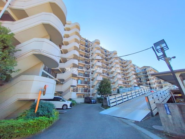 撮影日(2024-11-28 00:00:00)