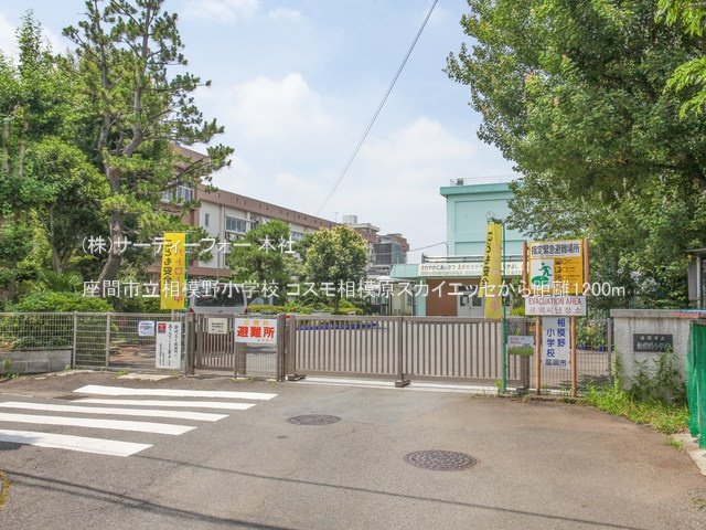座間市立相模野小学校 撮影日(2023-06-28) 1200m