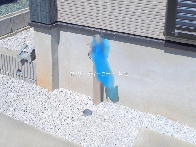 撮影日(2025-04-29 00:00:00)
