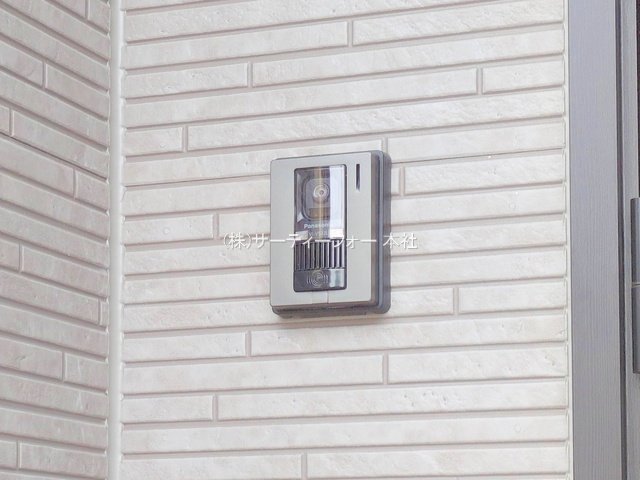 撮影日(2025-04-24 00:00:00)