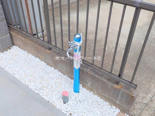 撮影日(2025-04-22 00:00:00)