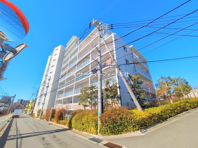 撮影日(2025-02-19 00:00:00)