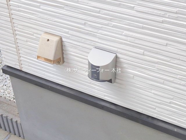 撮影日(2025-03-17 00:00:00)