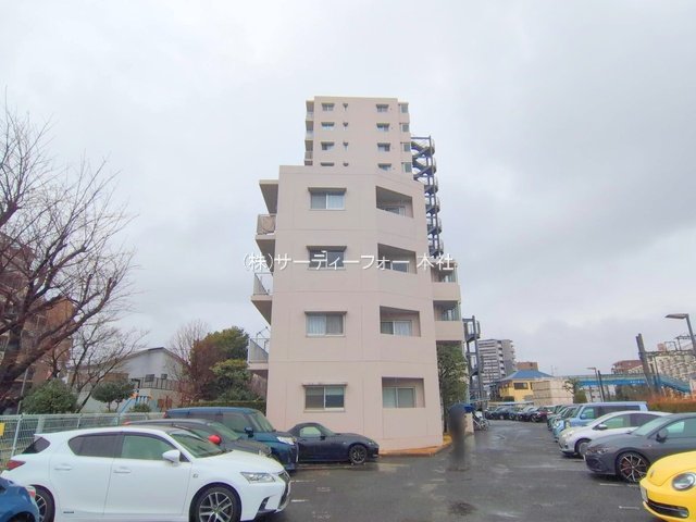 撮影日(2025-03-03 00:00:00)