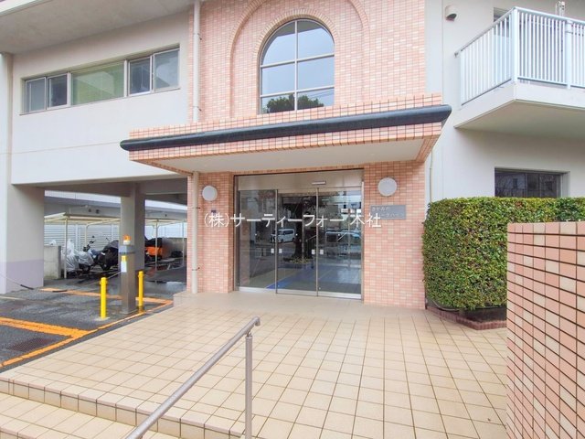 撮影日(2025-03-03 00:00:00)