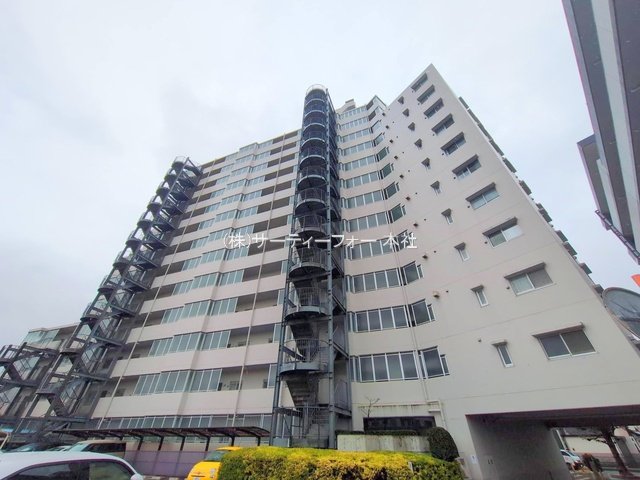 撮影日(2025-03-03 00:00:00)