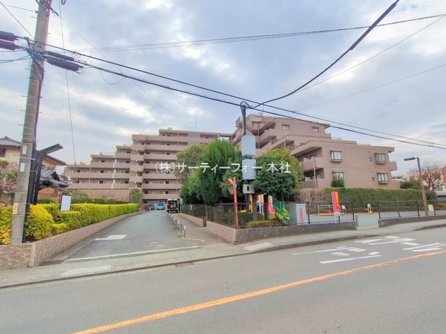 撮影日(2025-03-11 00:00:00)
