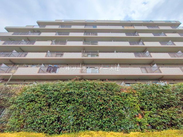 撮影日(2025-03-11 00:00:00)