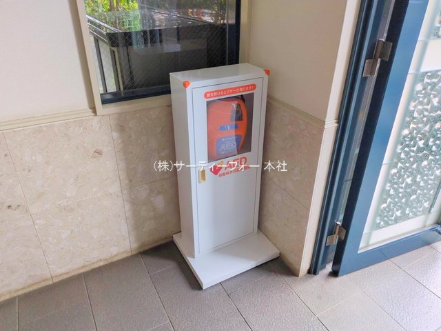 撮影日(2025-03-11 00:00:00)