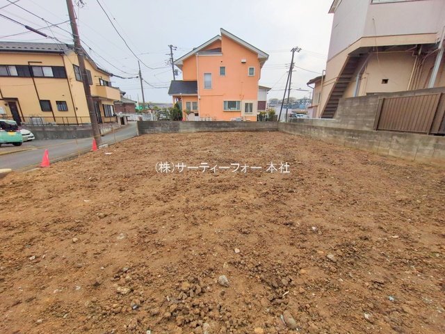 撮影日(2025-03-24 00:00:00)