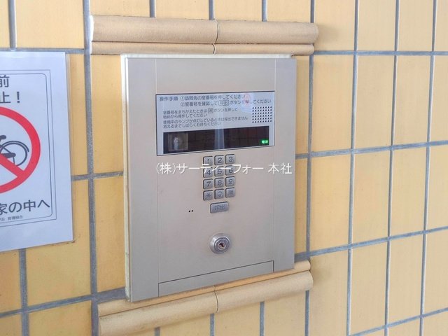 撮影日(2025-03-26 00:00:00)