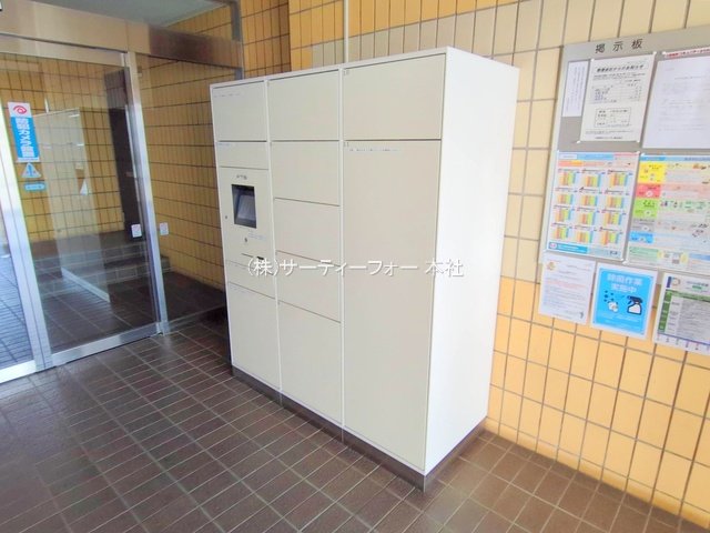 撮影日(2025-03-26 00:00:00)