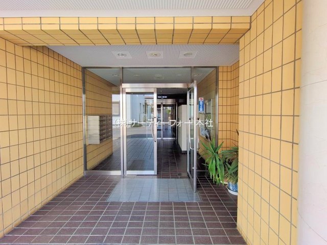 撮影日(2025-03-26 00:00:00)