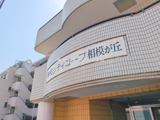 撮影日(2025-03-26 00:00:00)
