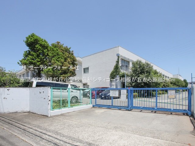 座間市立相模が丘小学校 撮影日(2024-06-19) 290m