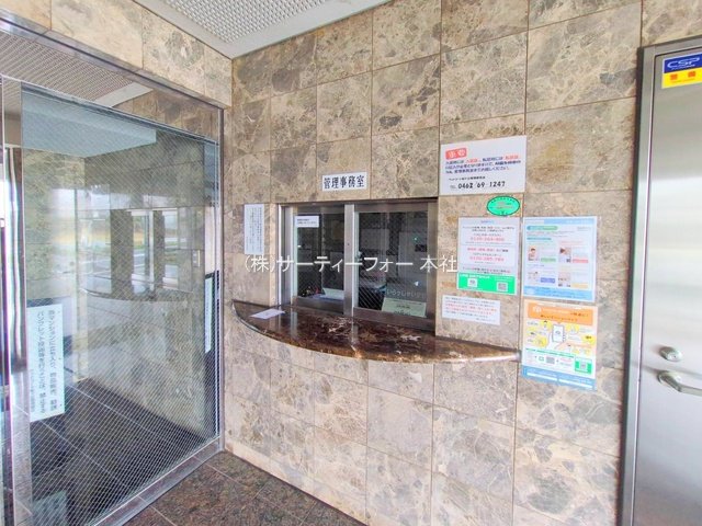 撮影日(2025-04-02 00:00:00)