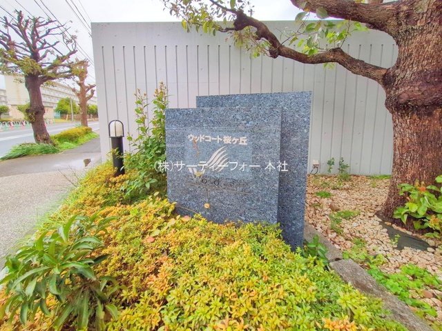 撮影日(2025-04-02 00:00:00)