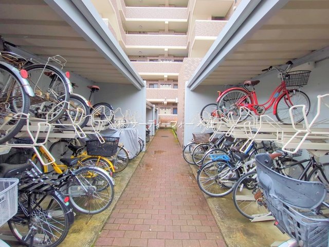 撮影日(2025-04-02 00:00:00)