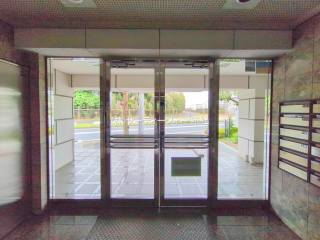 撮影日(2025-04-02 00:00:00)