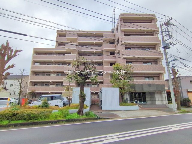 撮影日(2025-04-02 00:00:00)