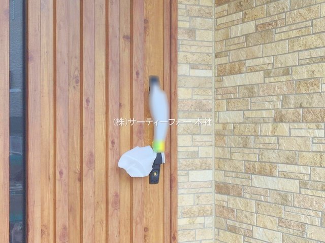撮影日(2025-04-11 00:00:00)