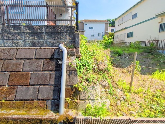 撮影日(2025-05-13 00:00:00)